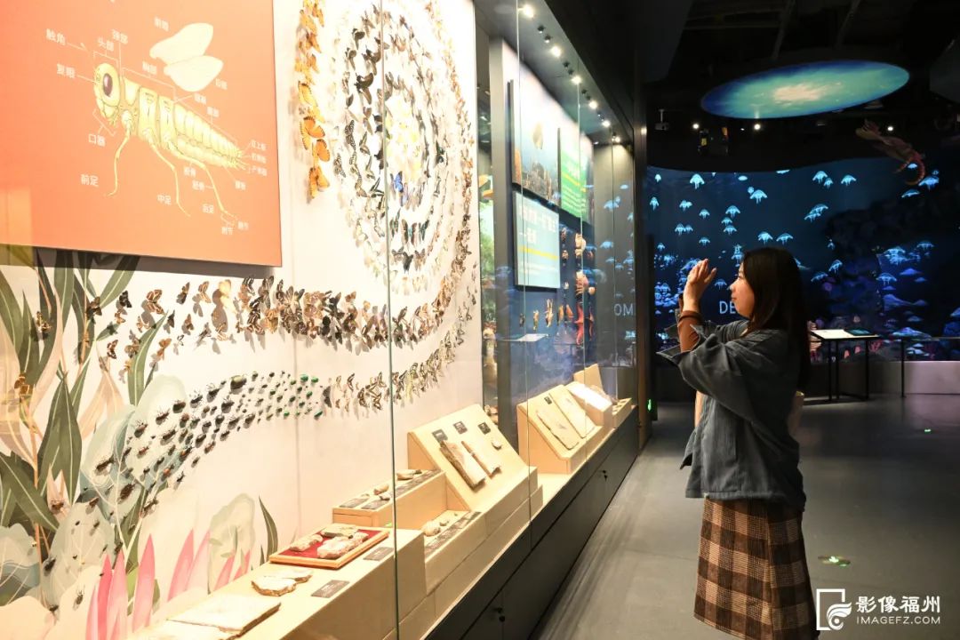 場(chǎng)館美圖 場(chǎng)館美圖