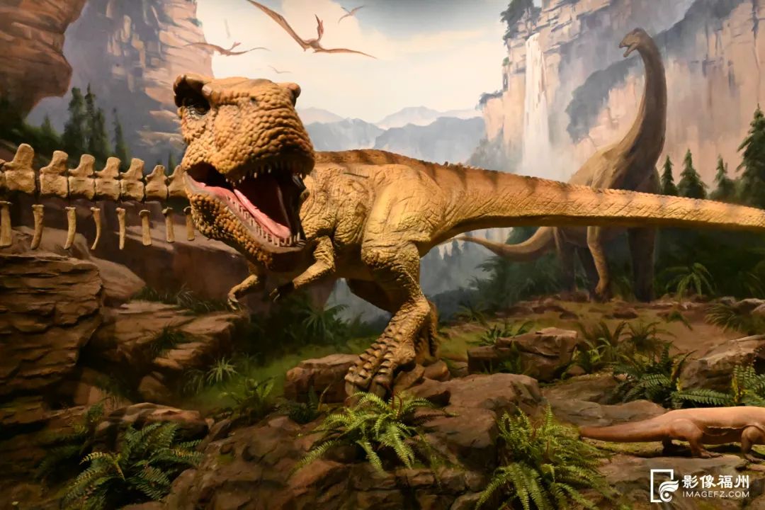 場(chǎng)館美圖 場(chǎng)館美圖