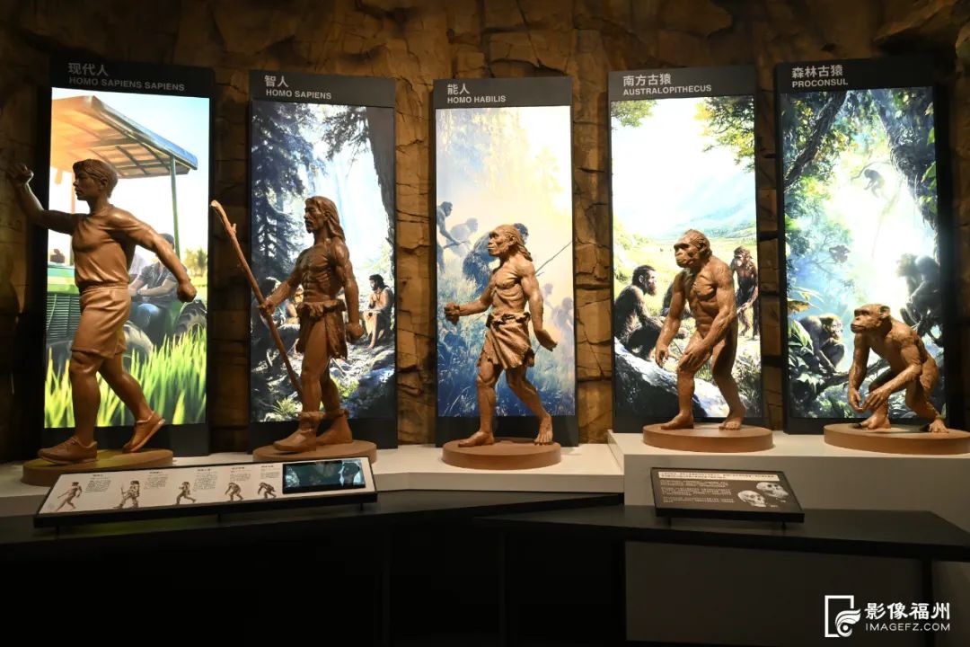 場(chǎng)館美圖 場(chǎng)館美圖